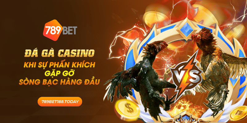 43 da ga casino khi su phan khich gap go song bac hang dau