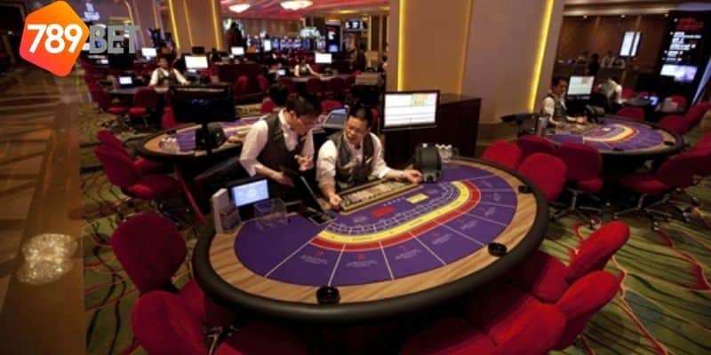 cá cược casino uy tín