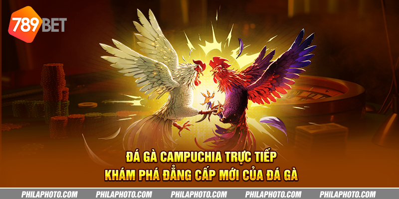 da ga campuchia truc tiep kham pha dang cap moi cua da ga