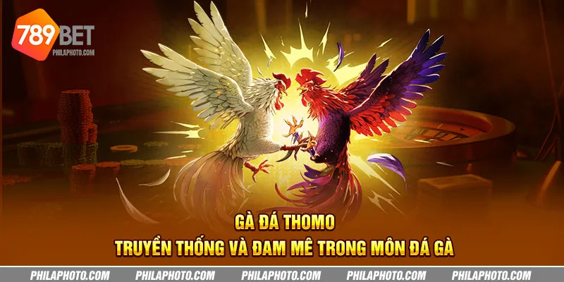 ga da thomo truyen thong va dam me trong mon da ga 4 11zon