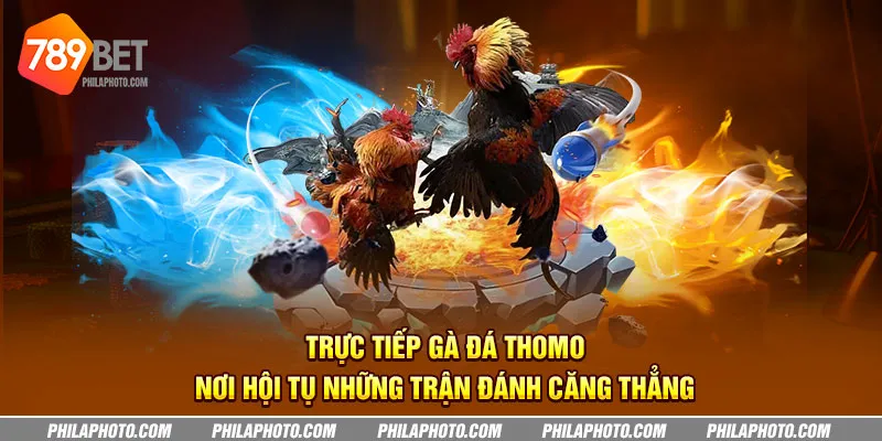 truc tiep ga da thomo noi hoi tu nhung tran danh cang thang 10 11zon
