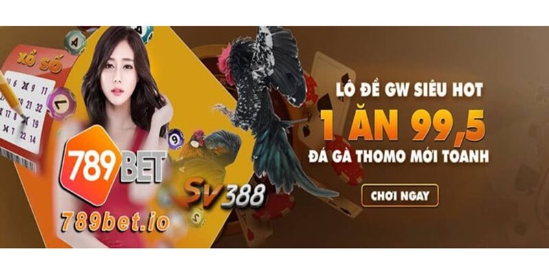 Khám phá và thử sức với các môn thể thao mới lạ