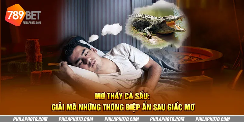 Mơ thấy cá sấu - Giải mã những thông điệp ẩn sau giấc mơ 8 mo thay ca sau giai ma nhung thong diep an sau giac mo 6 11zon