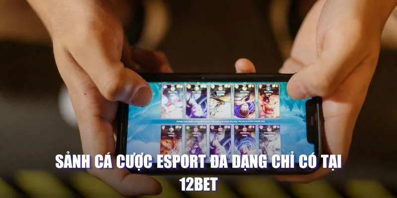 12BET - Sân Chơi Cá Cược Có Tỷ Lệ Hoàn Trả Cao Nhất Hiện Nay 4 Sảnh cá cược Esport đa dạng chỉ có tại 12BET