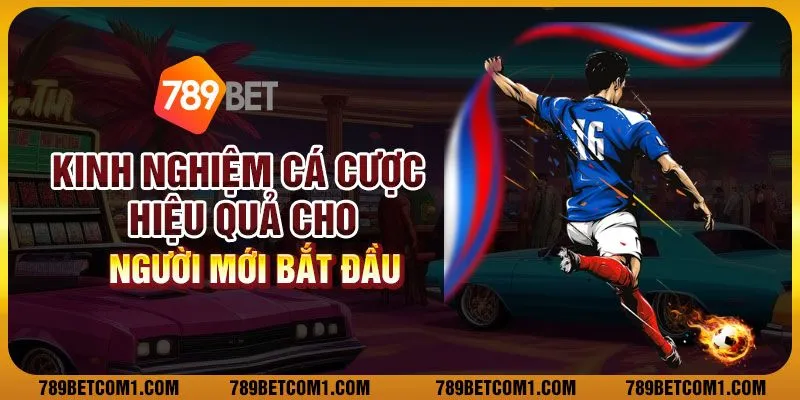 Kinh nghiệm cá cược hiệu quả cho người mới bắt đầu