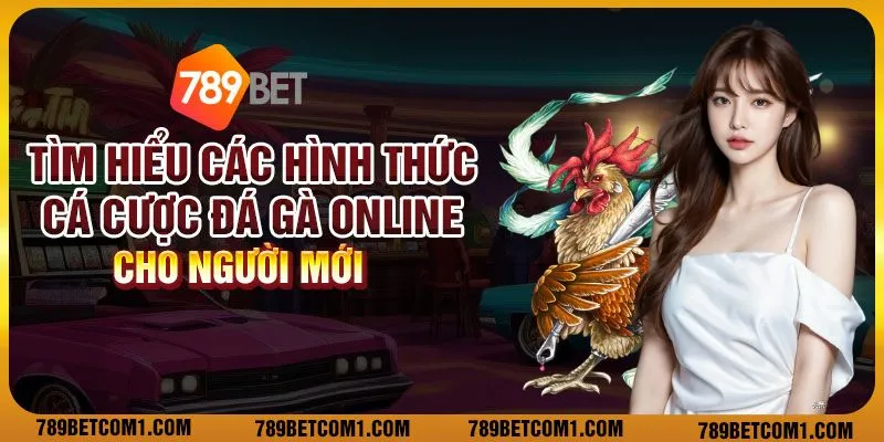 Tìm hiểu các hình thức cá cược đá gà online cho người mới