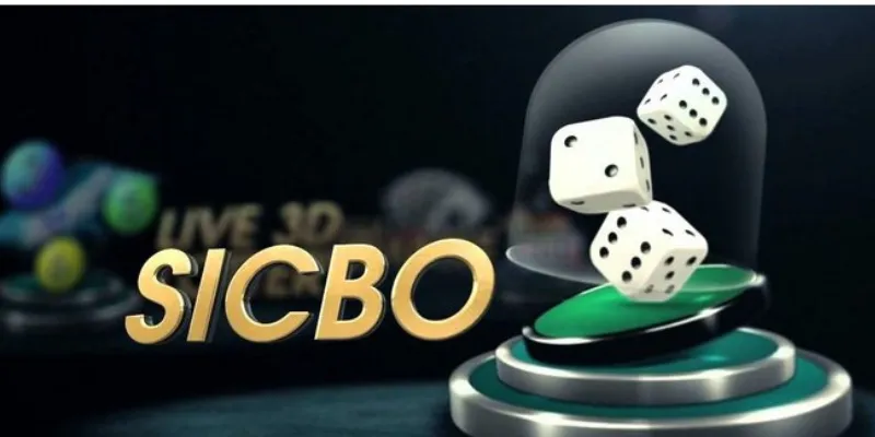 Bí kíp chơi sicbo hiệu quả: Chiến thuật giúp bạn luôn thắng 3 Bật mí bí kíp chơi sicbo an toàn và hiệu quả