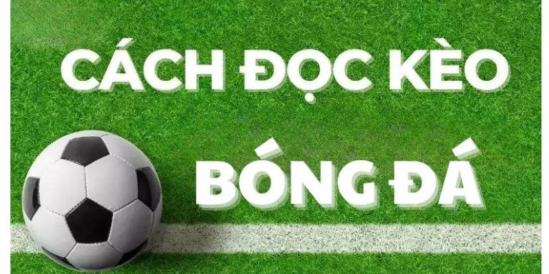 Hướng dẫn chi tiết cách đọc kèo bóng đá cho newbie 2 Cach doc keo bong da 1