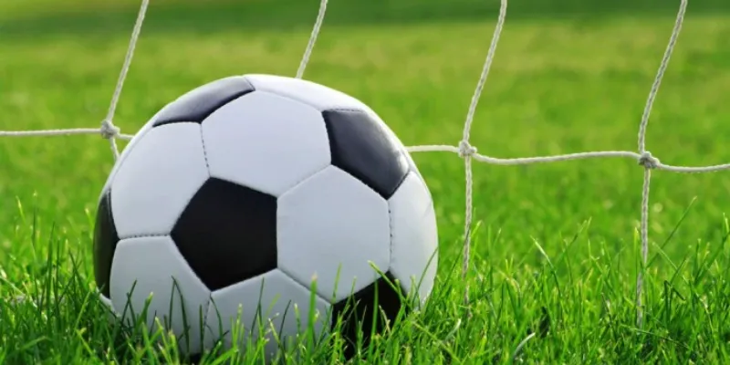 Bí quyết đặt cược kèo thua một nửa nâng cao tỷ lệ thắng tại Sunwin