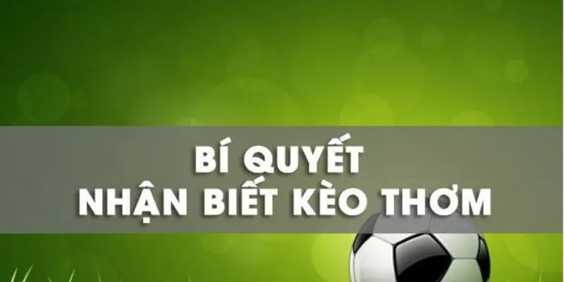 Kèo thơm bóng đá là gì? Bí quyết để nhận biết kèo thơm mỗi ngày 4 Bật mí bí quyết nhận biết kèo thơm hiệu quả mỗi ngày