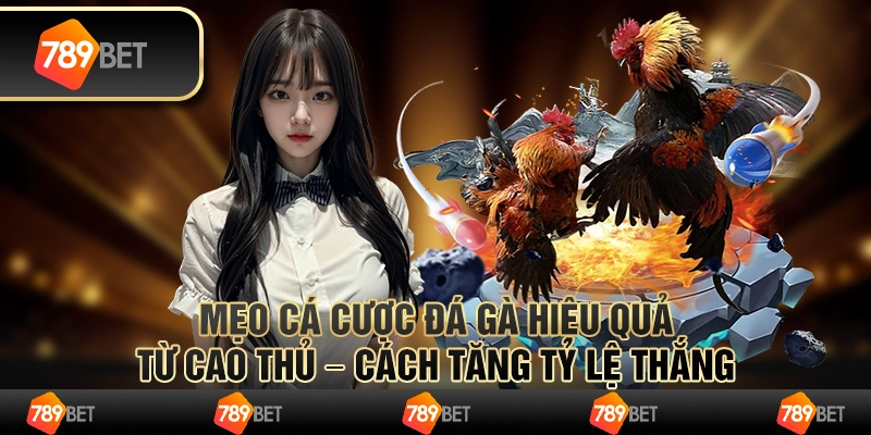 Mẹo cá cược Đá Gà hiệu quả từ cao thủ – Cách tăng tỷ lệ thắng 1 Mẹo cá cược Đá Gà hiệu quả từ cao thủ – Cách tăng tỷ lệ thắng