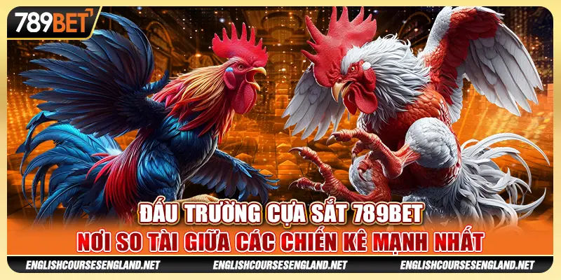 Đấu Trường Cựa Sắt 789BET Nơi So Tài Giữa Các Chiến Kê Mạnh