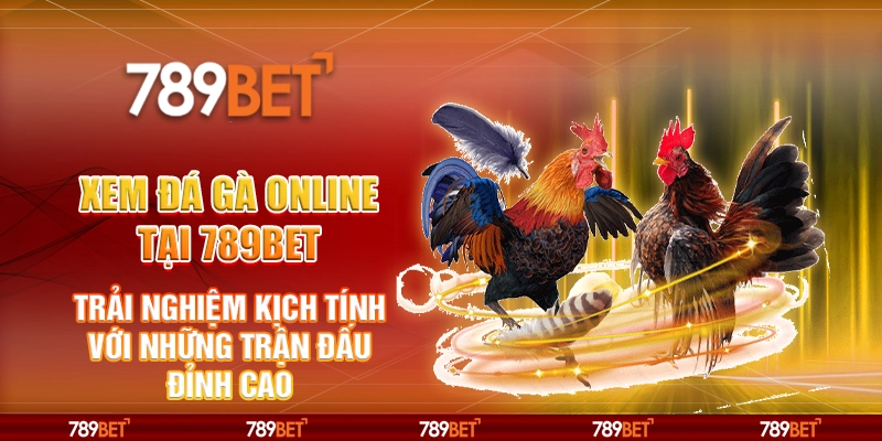 Xem đá gà online tại 789Bet - Trải nghiệm kịch tính với những trận đấu đỉnh cao 4 Xem đá gà online tại 789Bet - Trải nghiệm kịch tính với những trận đấu đỉnh cao