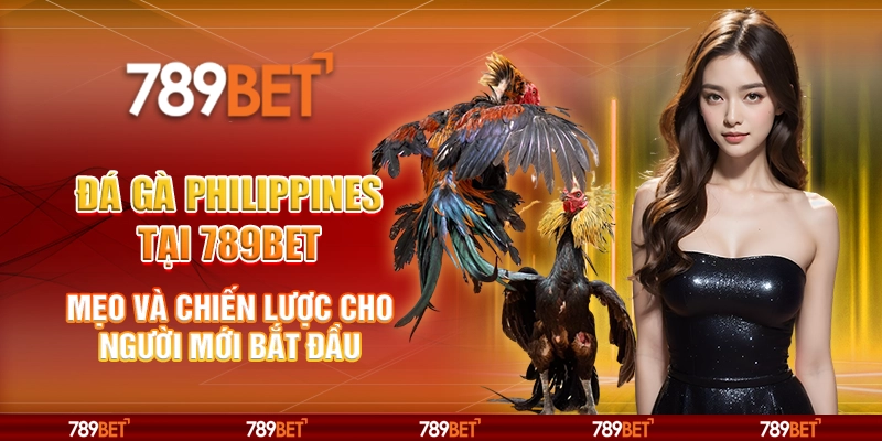 Đá gà Philippines tại 789Bet - Mẹo và chiến lược cho người mới bắt đầu 5 Đá gà Philippines tại 789Bet - Mẹo và chiến lược cho người mới bắt đầu