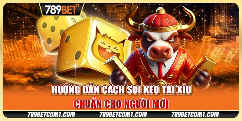 Hướng dẫn cách soi kèo tài xỉu chuẩn cho người mới