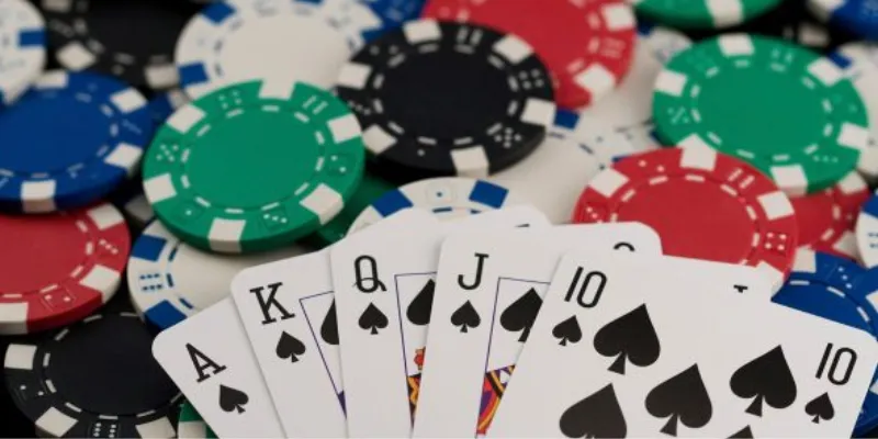 Đôi nét nổi bật về Bài Tấn