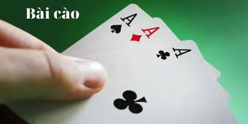 Tìm hiểu sơ lược về bài cào