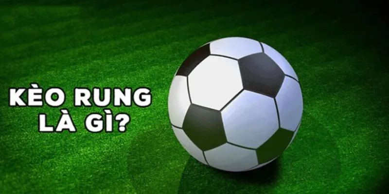 Kèo rung là gì? Học cách xem kèo rung và áp dụng trong cá cược bóng đá 3 Hướng dẫn cách xem kèo rung hiệu quả