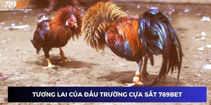 Dự báo tương lai của đấu trường tại 789BET