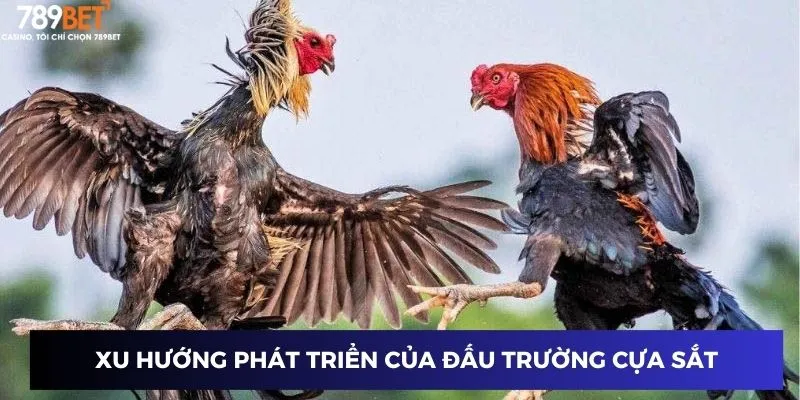 Tương lai và sự phát triển của đấu trường cựa sắt