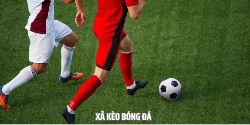 Hướng dẫn cho người chơi xả kèo bóng đá hiệu quả