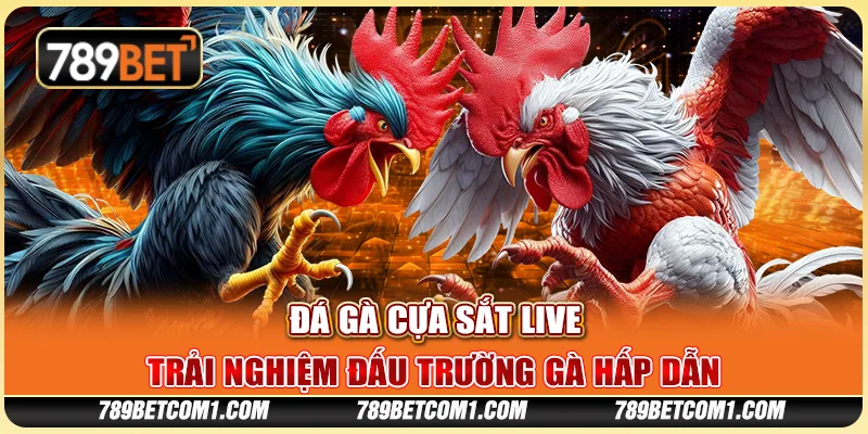 Đá gà cựa sắt live tại 789Bet - Trải nghiệm đấu trường gà hấp dẫn 3 Đá gà cựa sắt live tại 789Bet - Trải nghiệm đấu trường gà hấp dẫn
