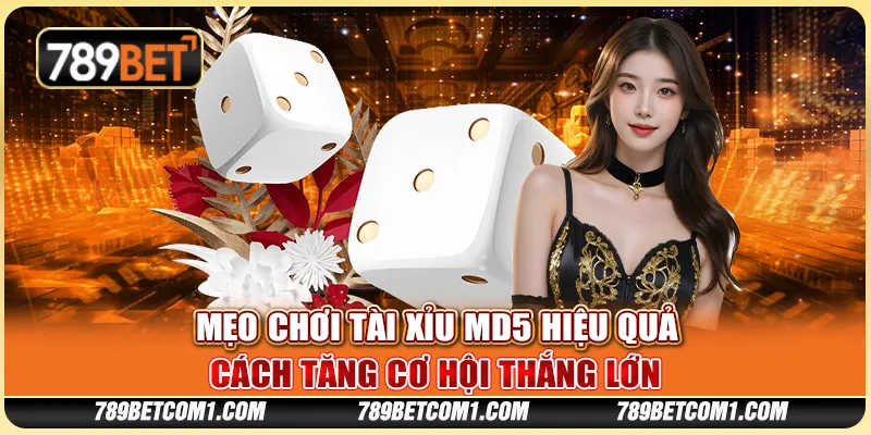Mẹo chơi Tài Xỉu MD5 hiệu quả - Cách tăng cơ hội thắng lớn
