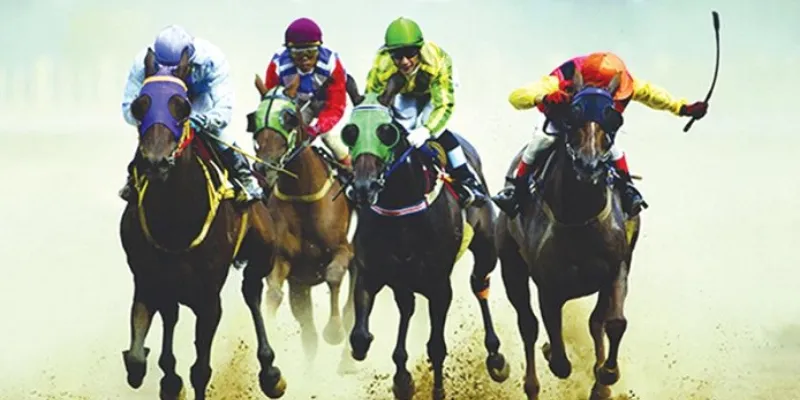 Tìm hiểu các loại cược đua ngựa