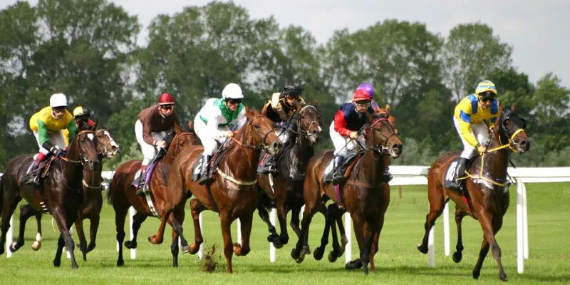 Cách đọc hiểu bảng tỷ lệ cược đua ngựa