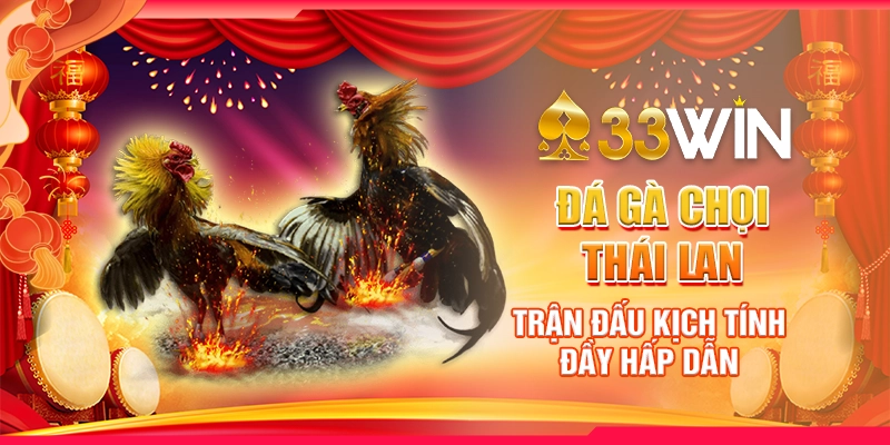 Đá Gà Chọi Thái Lan : Trận Đấu Kịch Tính Đầy Hấp Dẫn