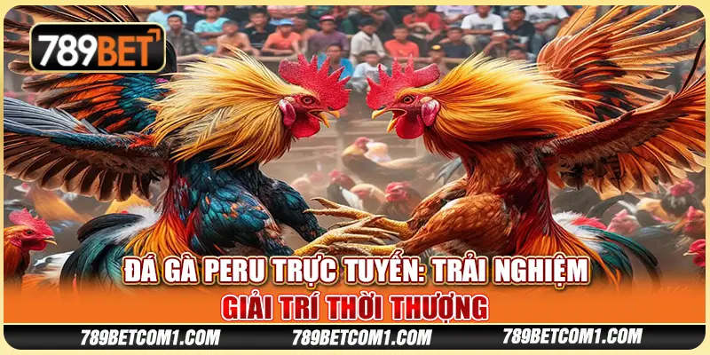 Đá gà Peru trực tuyến tại 789Bet - Trải nghiệm giải trí thời thượng 2 Đá gà Peru trực tuyến tại 789Bet - Trải nghiệm giải trí thời thượng