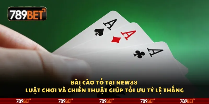 Bài cào tố tại 789Bet – Luật chơi và chiến thuật giúp tối ưu tỷ lệ thắng 1 Bài cào tố tại 789Bet – Luật chơi và chiến thuật giúp tối ưu tỷ lệ thắng