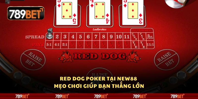 Red Dog Poker tại 789Bet - Mẹo chơi giúp bạn thắng lớn