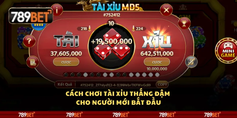 Cách chơi Tài Xỉu thắng đậm cho người mới bắt đầu 2 Cách chơi Tài Xỉu thắng đậm cho người mới bắt đầu