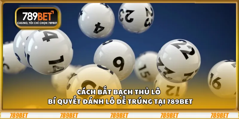 Cách bắt bạch thủ lô – Bí quyết đánh lô dễ trúng tại 789Bet 2 Cách bắt bạch thủ lô – Bí quyết đánh lô dễ trúng tại 789Bet