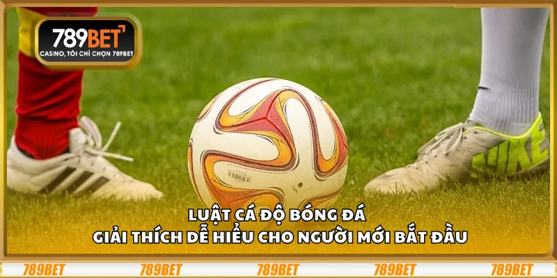 Luật cá độ bóng đá – Giải thích dễ hiểu cho người mới bắt đầu 10 Luật cá độ bóng đá – Giải thích dễ hiểu cho người mới bắt đầu