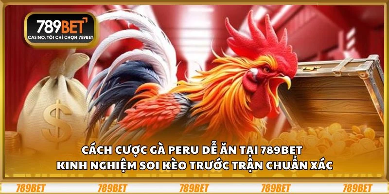 Cách cược gà Peru dễ ăn tại 789Bet - Kinh nghiệm soi kèo trước trận chuẩn xác