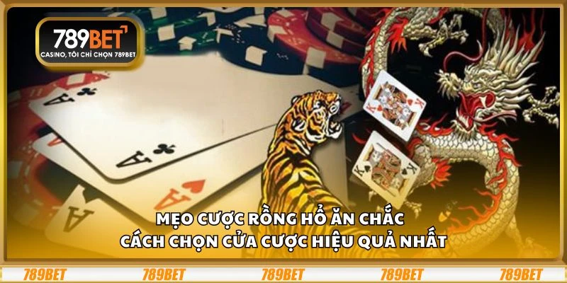 Mẹo cược rồng hổ ăn chắc - Cách chọn cửa cược hiệu quả nhất